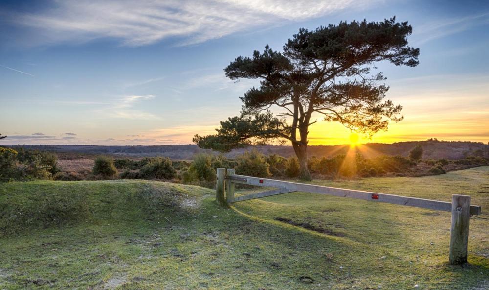 The Knightwood Oak A Luxury King Size En-Suite Space - Lymington New Forest With Totally Private Entrance - Key Box Entry - Free Parking & Private Outdoor Seating Area - Town ,Shops , Pubs & Solent Way Walking Distance & Complimentary Breakfast Items Ngoại thất bức ảnh