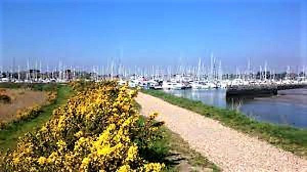 The Knightwood Oak A Luxury King Size En-Suite Space - Lymington New Forest With Totally Private Entrance - Key Box Entry - Free Parking & Private Outdoor Seating Area - Town ,Shops , Pubs & Solent Way Walking Distance & Complimentary Breakfast Items Ngoại thất bức ảnh